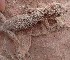  ( - JCB.0050)  @11 [ ] c  Unspecified Unspecified