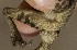  ( - FLI.0163)  @11 [ ] c  Unspecified Unspecified