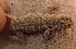  ( - MLA.0068)  @11 [ ] c  Unspecified Unspecified