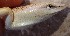  ( - MLA.0114)  @11 [ ] c  Unspecified Unspecified