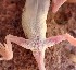  ( - JCB.0087)  @11 [ ] c  Unspecified Unspecified
