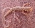  ( - JCB.0160)  @11 [ ] c  Unspecified Unspecified