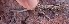  ( - JCB.0055)  @11 [ ] c  Unspecified Unspecified