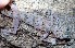  ( - JCB.0178)  @11 [ ] c  Unspecified Unspecified