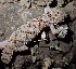  ( - MLA.0050)  @11 [ ] c  Unspecified Unspecified