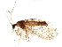  ( - BIOUG34594-B08)  @11 [ ] CreativeCommons - Attribution (2017) CBG Photography Group Centre for Biodiversity Genomics