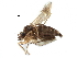  ( - BIOUG27991-C07)  @11 [ ] CreativeCommons - Attribution (2016) CBG Photography Group Centre for Biodiversity Genomics