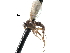  ( - BIOUG27991-C09)  @11 [ ] CreativeCommons - Attribution (2016) CBG Photography Group Centre for Biodiversity Genomics