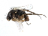  ( - BIOUG27991-D10)  @11 [ ] CreativeCommons - Attribution (2016) CBG Photography Group Centre for Biodiversity Genomics