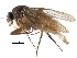  ( - BIOUG27991-E04)  @11 [ ] CreativeCommons - Attribution (2016) CBG Photography Group Centre for Biodiversity Genomics