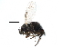  ( - BIOUG27991-F07)  @11 [ ] CreativeCommons - Attribution (2016) CBG Photography Group Centre for Biodiversity Genomics