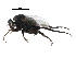  ( - BIOUG27991-F08)  @11 [ ] CreativeCommons - Attribution (2016) CBG Photography Group Centre for Biodiversity Genomics
