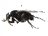  ( - BIOUG27991-F09)  @11 [ ] CreativeCommons - Attribution (2016) CBG Photography Group Centre for Biodiversity Genomics