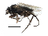  ( - BIOUG27991-F12)  @14 [ ] CreativeCommons - Attribution (2016) CBG Photography Group Centre for Biodiversity Genomics