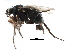  ( - BIOUG27991-G02)  @14 [ ] CreativeCommons - Attribution (2016) CBG Photography Group Centre for Biodiversity Genomics