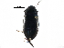  ( - BIOUG27991-H10)  @13 [ ] CreativeCommons - Attribution (2016) CBG Photography Group Centre for Biodiversity Genomics