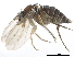  ( - BIOUG28751-B07)  @11 [ ] CreativeCommons - Attribution (2016) CBG Photography Group Centre for Biodiversity Genomics