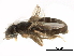  ( - BIOUG28751-C12)  @11 [ ] CreativeCommons - Attribution (2016) CBG Photography Group Centre for Biodiversity Genomics