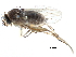  ( - BIOUG28751-E10)  @11 [ ] CreativeCommons - Attribution (2016) CBG Photography Group Centre for Biodiversity Genomics