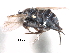  ( - BIOUG28751-F04)  @11 [ ] CreativeCommons - Attribution (2016) CBG Photography Group Centre for Biodiversity Genomics