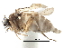  ( - BIOUG28751-F09)  @11 [ ] CreativeCommons - Attribution (2016) CBG Photography Group Centre for Biodiversity Genomics