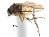  ( - BIOUG28751-H08)  @11 [ ] CreativeCommons - Attribution (2016) CBG Photography Group Centre for Biodiversity Genomics