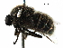  ( - BIOUG28752-G02)  @11 [ ] CreativeCommons - Attribution (2016) CBG Photography Group Centre for Biodiversity Genomics