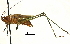  ( - BIOUG36799-G06)  @11 [ ] CreativeCommons - Attribution (2018) CBG Photography Group Centre for Biodiversity Genomics