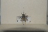  ( - BJMTG2021011)  @11 [ ] Unspecified (default): All Rights Reserved  Unspecified Unspecified