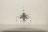  ( - BJMTG2021018)  @11 [ ] Unspecified (default): All Rights Reserved  Unspecified Unspecified
