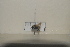  ( - BJMTG2021019)  @11 [ ] Unspecified (default): All Rights Reserved  Unspecified Unspecified