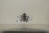  ( - BJMTG2021032)  @11 [ ] Unspecified (default): All Rights Reserved  Unspecified Unspecified