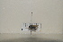  ( - BJMTG2021042)  @11 [ ] Unspecified (default): All Rights Reserved  Unspecified Unspecified