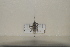  ( - BJMTG2021043)  @11 [ ] Unspecified (default): All Rights Reserved  Unspecified Unspecified
