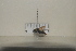 ( - BJMTG2021045)  @11 [ ] Unspecified (default): All Rights Reserved  Unspecified Unspecified