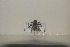  ( - BJMTG2021051)  @11 [ ] Unspecified (default): All Rights Reserved  Unspecified Unspecified
