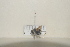  ( - BJMTG2021058)  @11 [ ] Unspecified (default): All Rights Reserved  Unspecified Unspecified