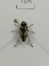  ( - X_BJCP39)  @11 [ ] bync (2019) Unspecified Beijing Academy of Agricultural and Forestry Sciences