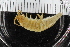 ( - ZMBN_108038)  @11 [ ] CreativeCommons - Attribution Non-Commercial Share-Alike (2017) University of Bergen Natural History Collections