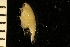  ( - ZMBN_126287)  @11 [ ] CreativeCommons - Attribution Non-Commercial Share-Alike (2018) University of Bergen Natural History Collections