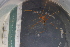  ( - ZMBN_126611)  @11 [ ] CreativeCommons - Attribution Non-Commercial Share-Alike (2019) University of Bergen Natural History Collections