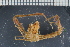  ( - ZMBN_98413)  @11 [ ] CreativeCommons - Attribution Non-Commercial Share-Alike (2015) University of Bergen University of Bergen, Natural History Collection