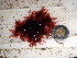  ( - GWS012653)  @11 [ ] CreativeCommons - Attribution Non-Commercial Share-Alike (2010) Unspecified University of New Brunswick