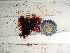  ( - GWS012654)  @11 [ ] CreativeCommons - Attribution Non-Commercial Share-Alike (2010) Unspecified University of New Brunswick