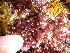  ( - GWS012720)  @11 [ ] CreativeCommons - Attribution Non-Commercial Share-Alike (2010) Unspecified University of New Brunswick
