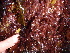  ( - GWS012734)  @11 [ ] CreativeCommons - Attribution Non-Commercial Share-Alike (2010) Unspecified University of New Brunswick