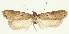  ( - HNHM-29197-D07)  @11 [ ] CreativeCommons - Attribution Non-Commercial Share-Alike (2018) Peter Buchner Tiroler Landesmuseum
