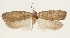  ( - MFN-29197-A02)  @11 [ ] CreativeCommons - Attribution Non-Commercial Share-Alike (2018) Peter Buchner Tiroler Landesmuseum