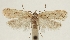  ( - MFN-29197-A03)  @11 [ ] CreativeCommons - Attribution Non-Commercial Share-Alike (2018) Peter Buchner Tiroler Landesmuseum