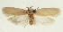  ( - MFN-29197-A09)  @11 [ ] CreativeCommons - Attribution Non-Commercial Share-Alike (2018) Peter Buchner Tiroler Landesmuseum